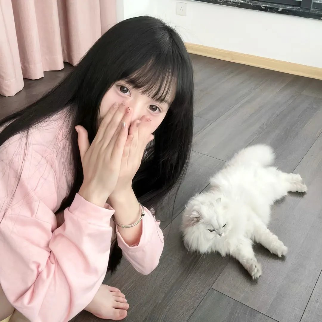 孤雏血泪